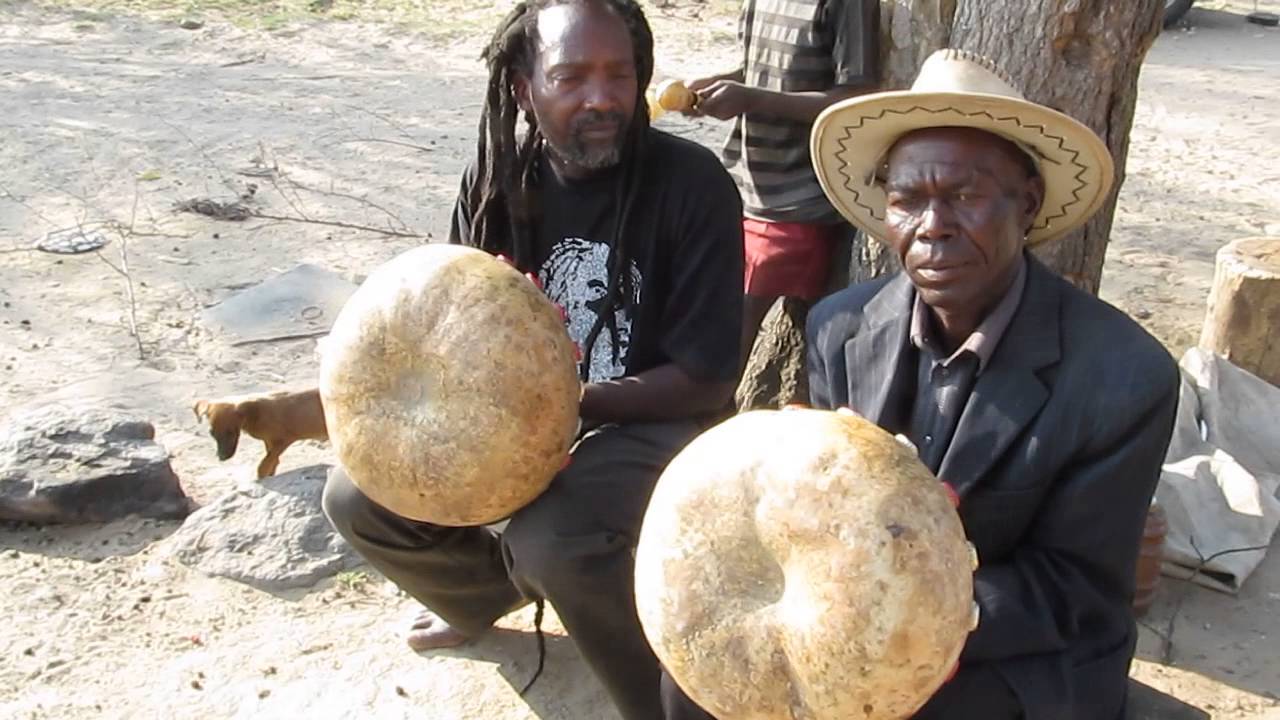 "Chipembere" H. Gandidzanwa & S. Bvure