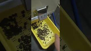AI Color Sorting Machine for Watermelon Seeds Sorting-RealTech BL30AI #colorsortermachine