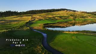 The Predator Course - Hole 14