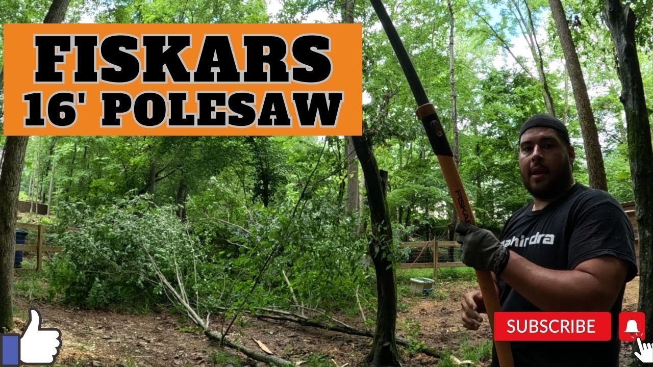 Fiskars Pole Saw / Cutting Down 2 Trees YouTube
