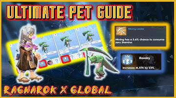 ROX Global Pet Guide | What