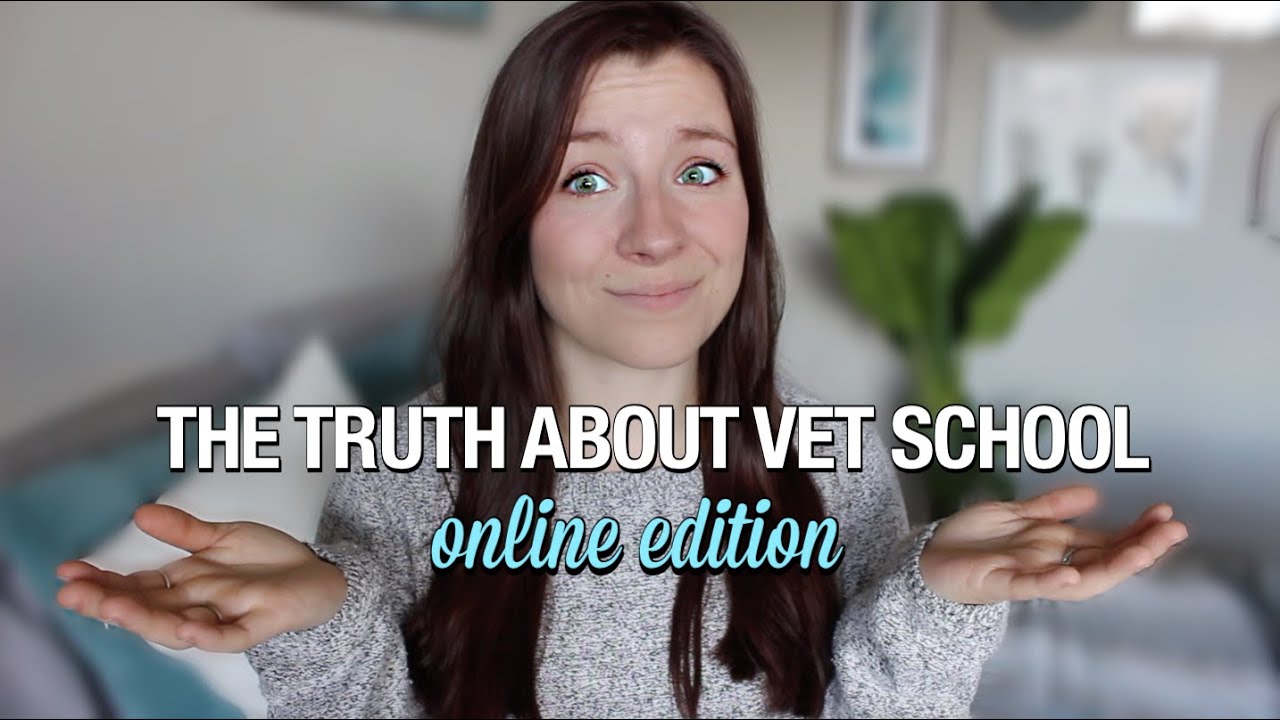 THE TRUTH ABOUT ONLINE VET SCHOOL the pros and cons of learning online