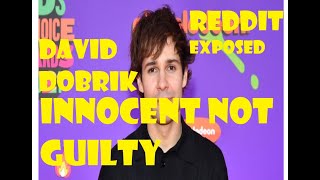 David Dobrik Did Nothing Wrong