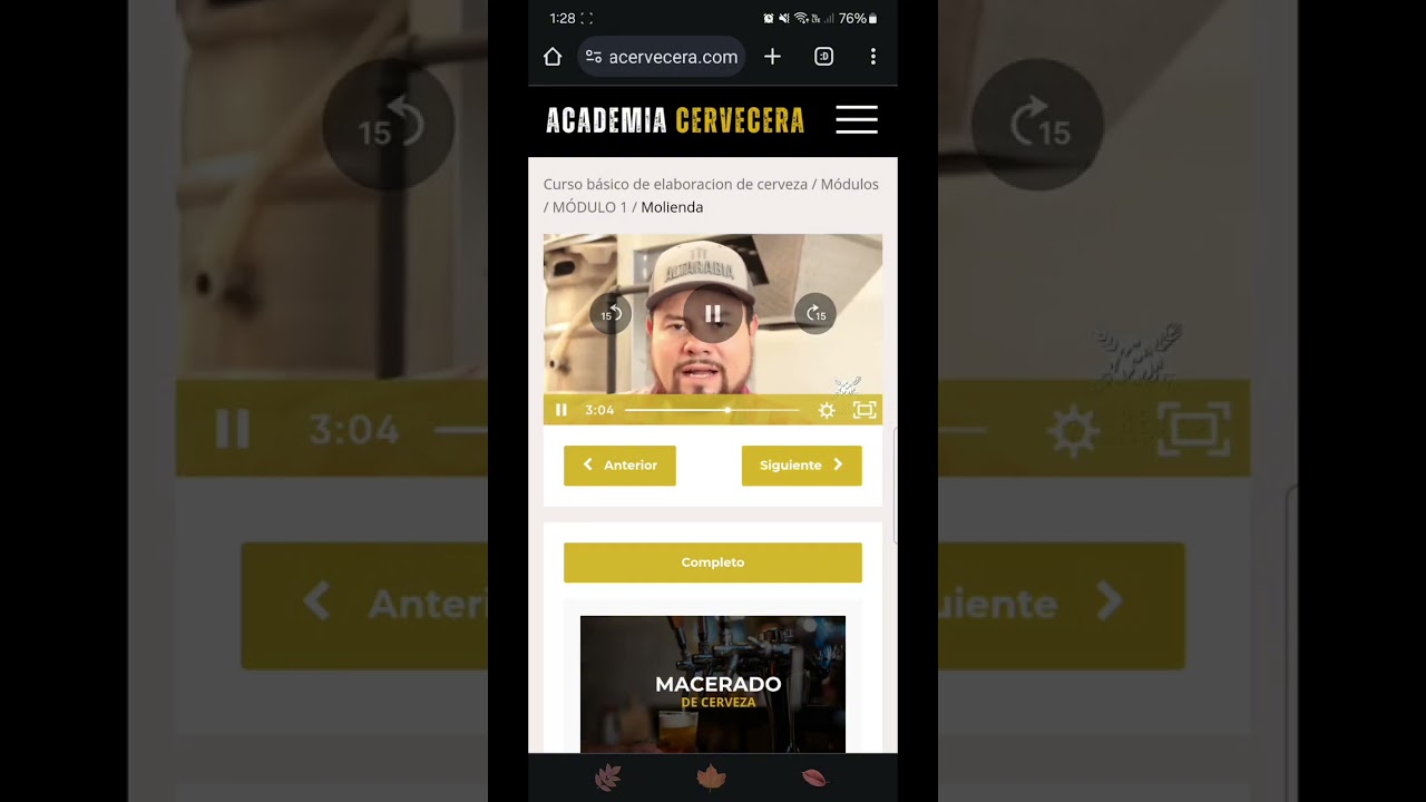¿Cómo es el curso de cerveza básico online?