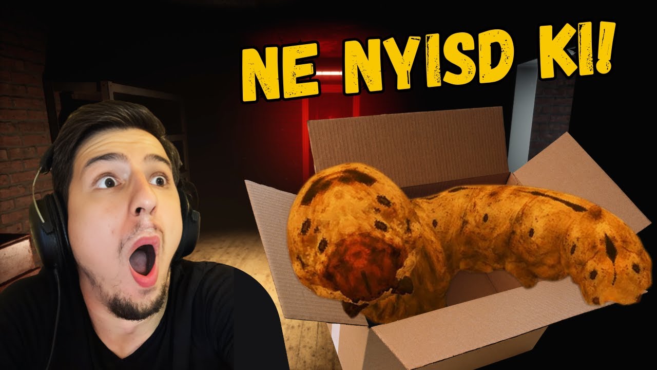 HA ILYEN CSOMAGOT KAPSZ, SOHA NE NYISD KI! | 3 Para Játék