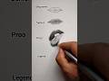 How to draw a realistic lips  art youtubeshorts shorts trending viral artwithbir9