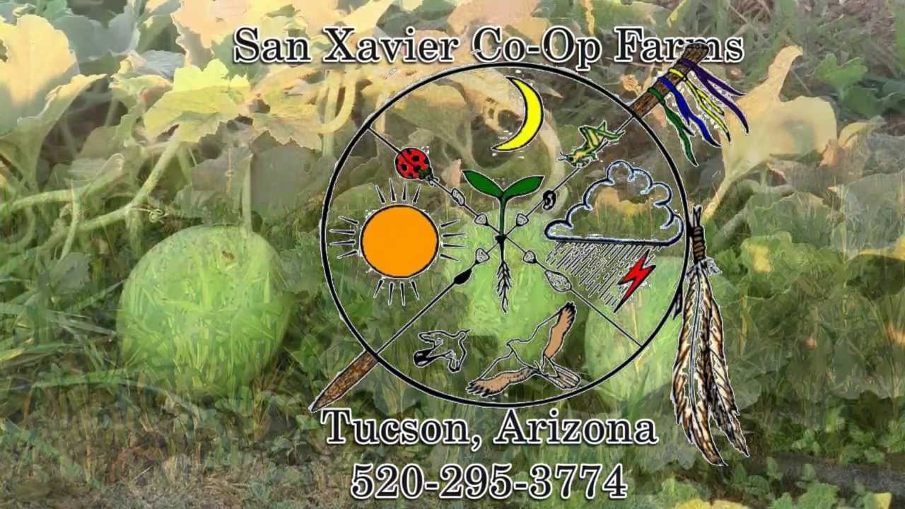 San Xavier Coop Farm YouTube