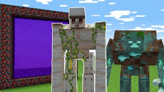 I went through the portal and encountered a Mutant Drowned and a Mutant Iron Golem mob.