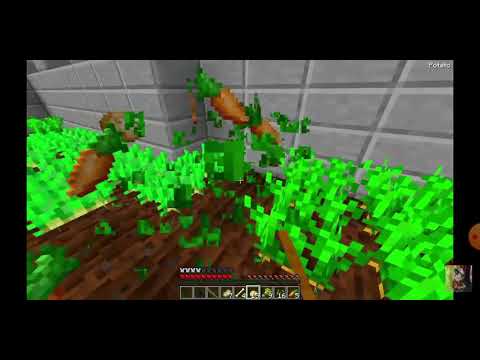 13 ნოემბერი, 2020