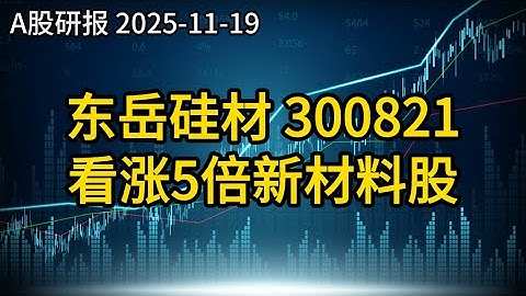 东岳硅材 300821 看涨5倍新材料股 | A股研报 2025-11-19