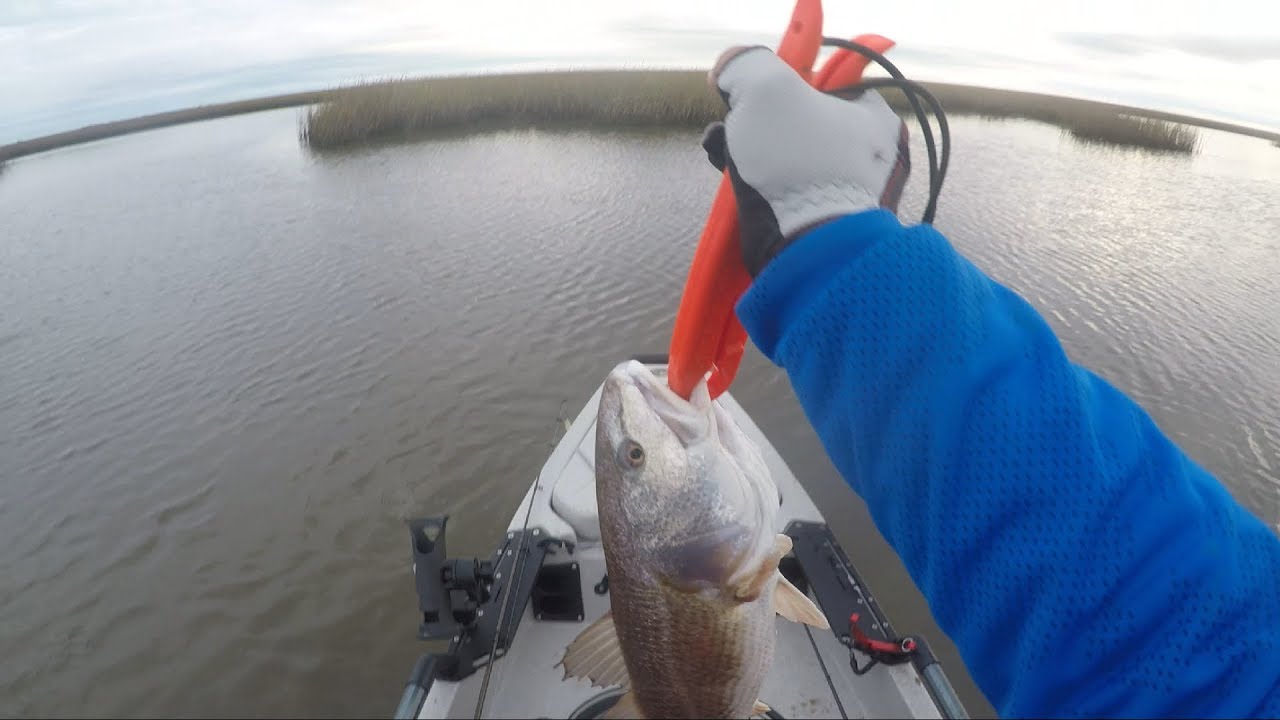 First time Kayak fishing YouTube