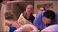 The Unique Experience of Mayo Medical School