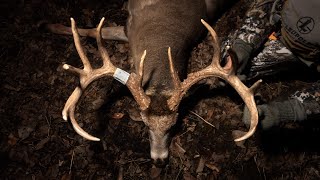 BIGGEST BUCK OF THE SEASON 162” Late season buck in Iowa