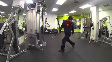 Contralateral Single Arm Row in Split Stance with Rotation