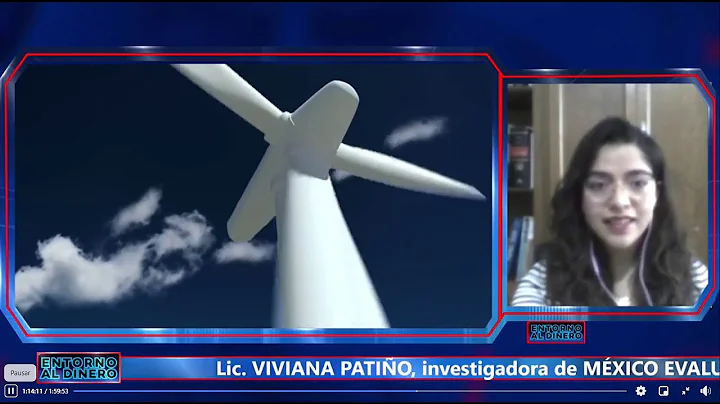Entrevista a la Lic. Viviana Patio, investigadora ...