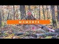 Moments  deer hunting with a longbow