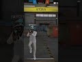 segui ai