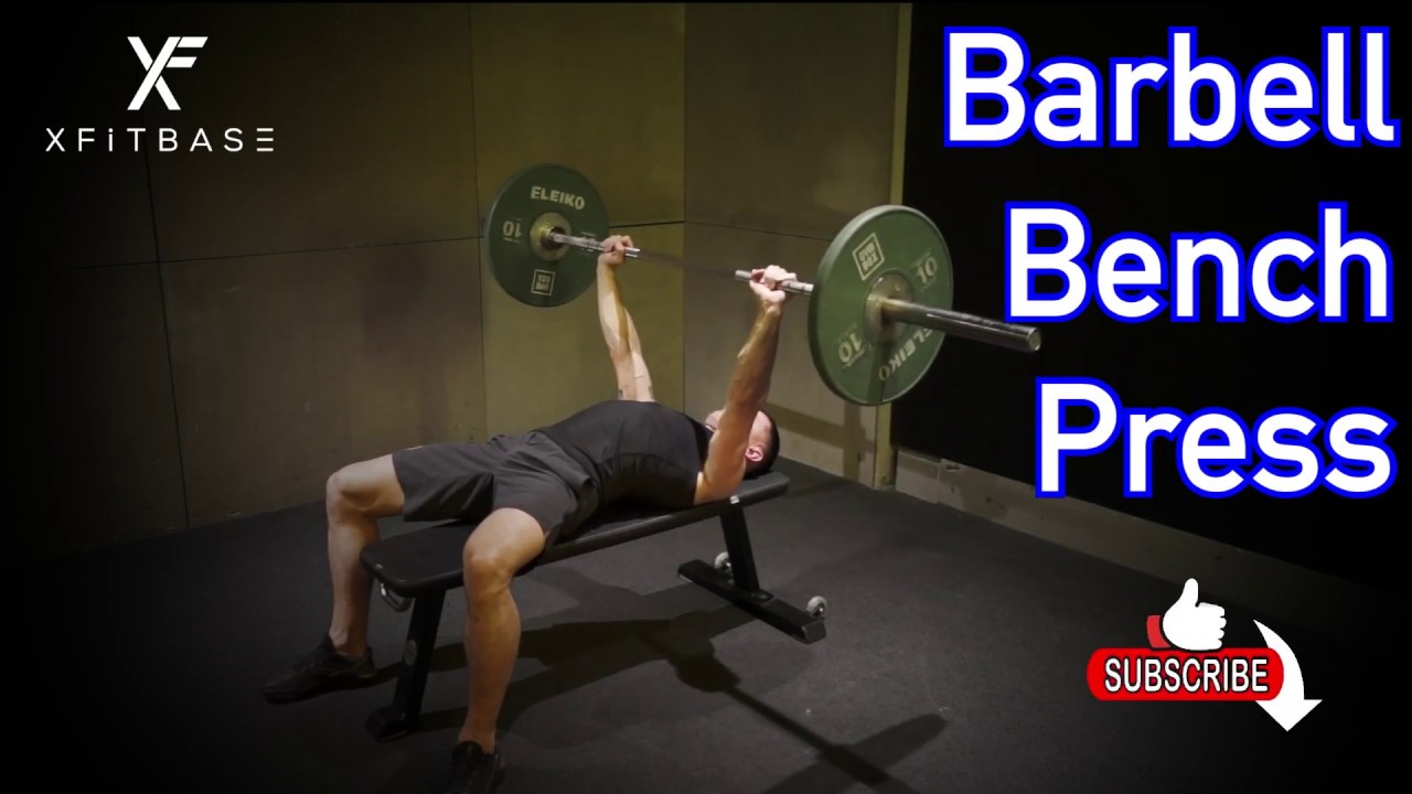 Barbell Bench Press | Xfitbase Exercise Demo - YouTube