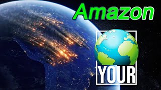 Why Brazil Amazon Rainforest Fires? Sound8D