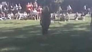 ahs tryout dance routine