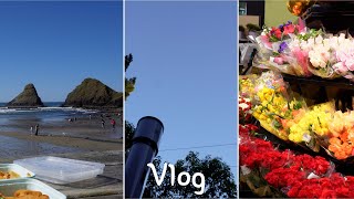 [🇺🇸미국 일상 Vlog 01] 미국 온지 벌써 1년• 마트 장보고 밥 해 먹기🍚• Heceta Head Lighthouse •집 뒷마당에서 달 보기🌙• 축구교실⚽️