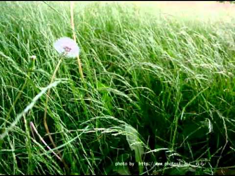 安全地帯　あのとき　　ギター弾き語り　COVER