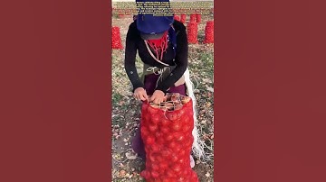 Garlic Hack: The Smart Way to Store Your Harvest