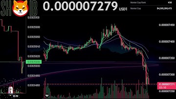 $SHIB Live Stream 24/7 | SHIBA INU COIN | SHIB USDT | RSI Divergence Trading Signals and Chat