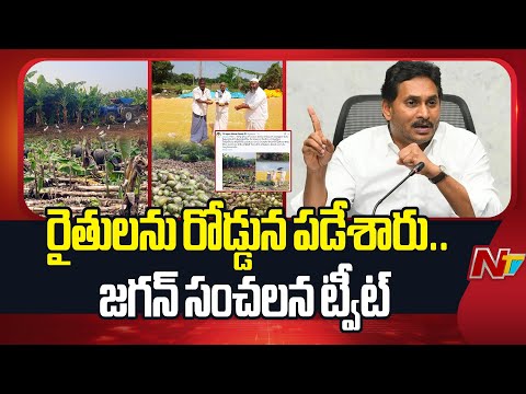 రైతులను రోడ్డున పడేశారు.. : YS Jagan Sensational Tweet | NTV Telugu - NTVTELUGU