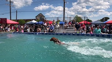 Banjo Dock Diving Practice 1