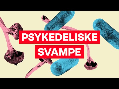 Mikrodosering: Kan en smule LSD forbedre dit liv?