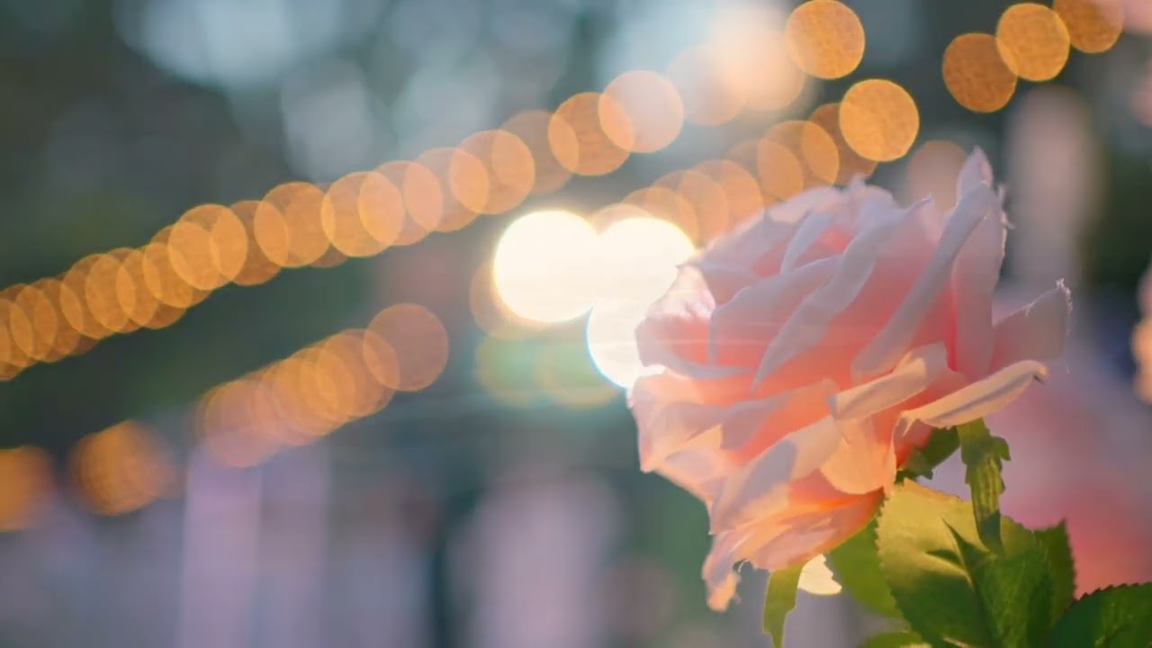 BOG SVE VIDI SVE VRATI NA KRAJ (2026)