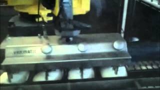 Venmatic Decojet Met Fanuc Robot En Uitneembare Knip-Machine Vts-Deel 9
