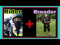 Di lang basta Rider, Magaling na BREEDER pa | Flex my mini backyard gamefowls |