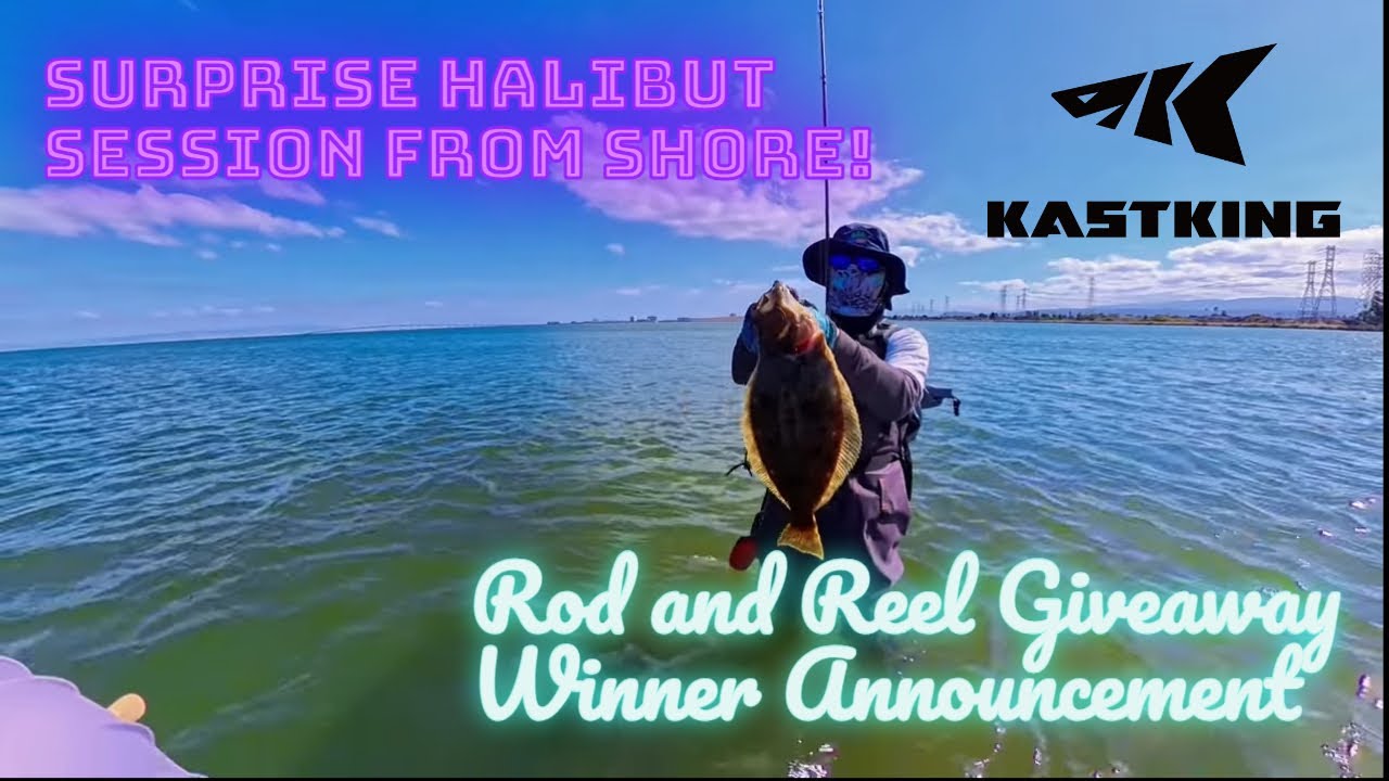 Fishing San Francisco Bay, Surprise Halibut Attack!