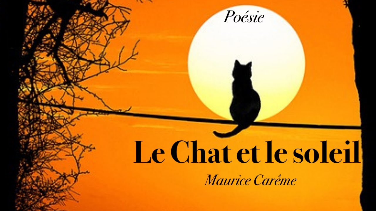 French Poetry Le Chat Et Le Soleil Maurice Careme Poesie Youtube