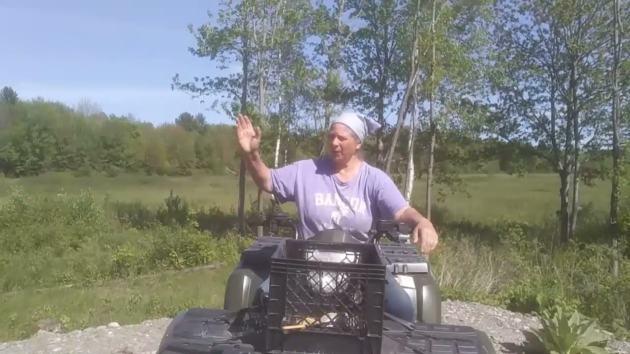 You Can Do EVERYTHING Right & Still Fail Appalachia's Homestead with