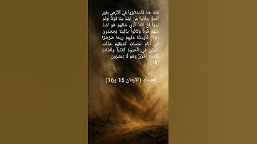 سورة فصلت _ رِيحٗا صَرۡصَرٗا فِيٓ أَيَّامٖ نَّحِسَاتٖ#القرآن_الكريم