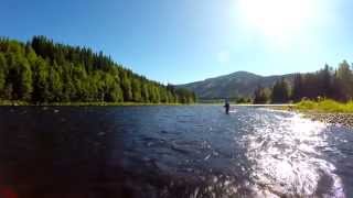 Fishing in Trysil - Tenkara with Chris Hendriks