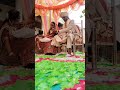 Gujrati Bhuro Vlog is live