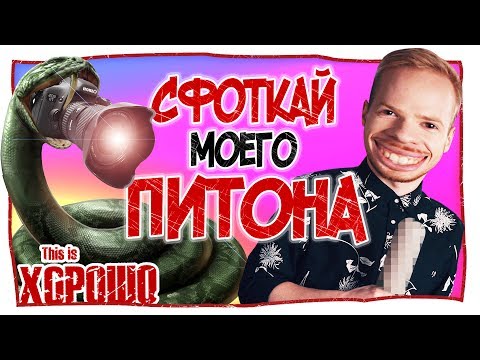 видео: Сфоткай моего питона