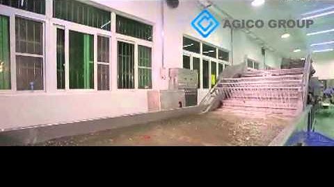 AGICO 3-5 TON AUTOMATIC STAINLESS STEEL LITCHI SKIN PEELING AND CORE REMOVING LINE