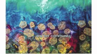 Once in Broome, Sally Bin Demin, Magabala Books