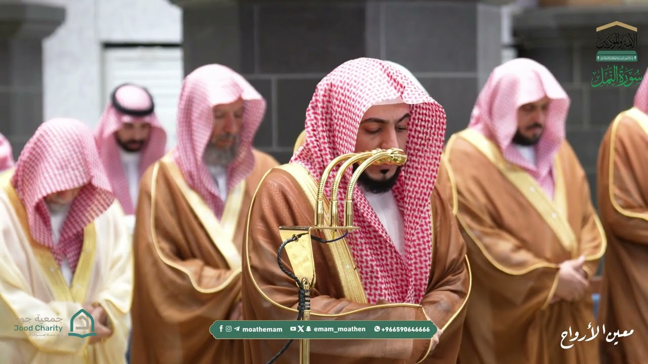 صلاة التراويح للشيخ الوليد الشمسان ليلة 23 رمضان 1447هـ من سورتي النمل (45-93) و القصص (1-13)