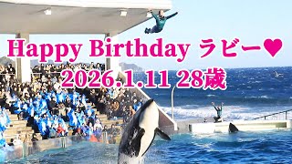 ラビー28歳お誕生日おめでとう!! 鴨川シーワールド シャチ kamogawaseaworld orca killerwhale