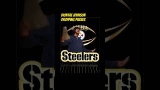 The struggle for Steelers fans is real #nfl #funny #memes #Steelers