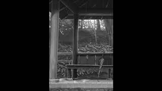 Bertholet, Dontcry - The Ceremony [LoFi]