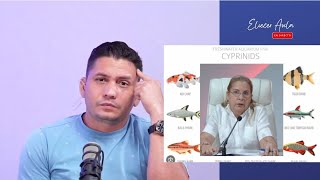 Hoy Le Cogimos La Mentira A La Señora De La Tenca