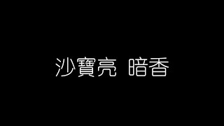 沙寶亮   暗香 無損音樂FLAC 歌詞LYRICS 純享