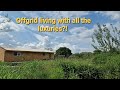 offgrid living in luxury? is it possible to have a normal house offgrid #offgrid #offgridliving
